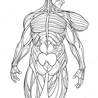 Kolorowanka Z Anatomia Miesni 50553-39999