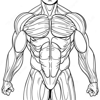 Kolorowanka Z Anatomia Miesni 50553-40000